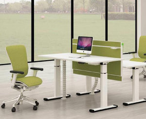 Stand Up Adjustable Executive (White)