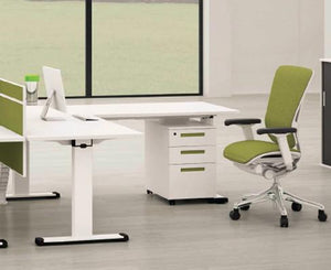 Stand Up Adjustable Executive (White)